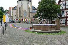 Bluemteppich auf dem Naumburegr Marktplatz (Foto: Karl-Franz Thiede)